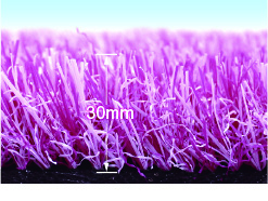 カラータイプイメージ