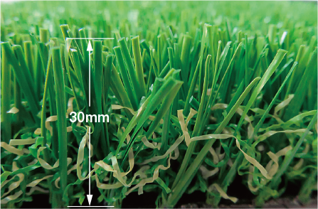 あそびタイプ商品画像