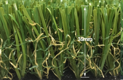 プレミアムタイプ商品写真