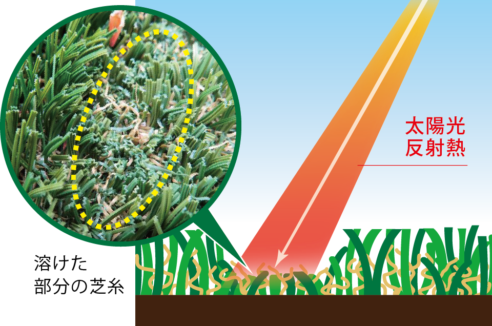 芝溶けについてイメージイラスト